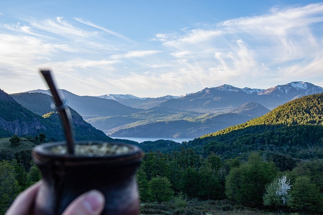 yerba mate južná amerika