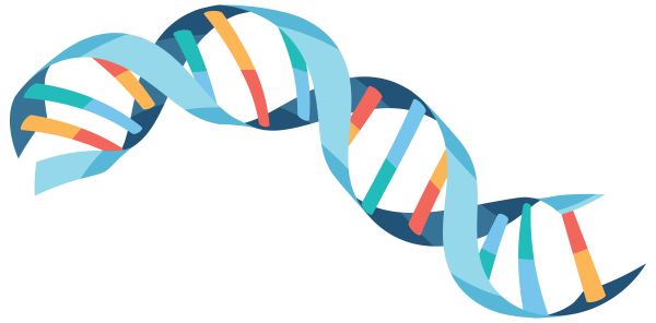 DNA