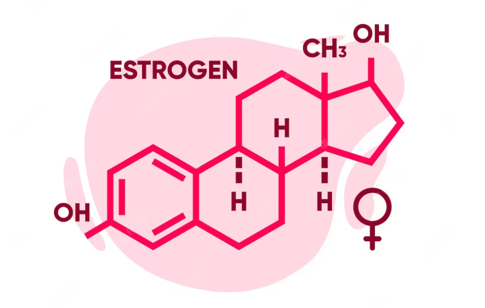 estrogen