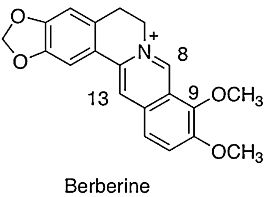 berberín 