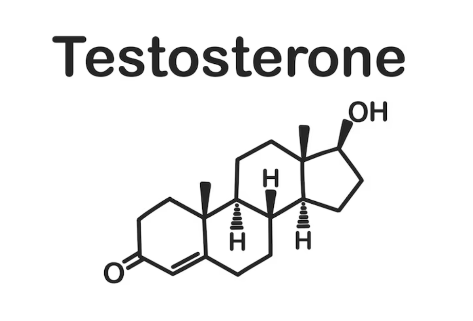 testosteron vzorec